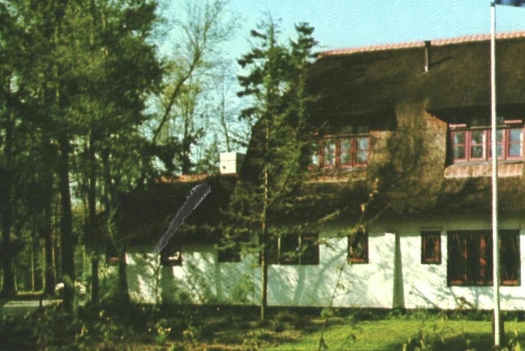 993199 Appelscha 981 Friesland US BLAU HIEM Gelopen, Ophalen of Verzenden, 1960 tot 1980, Gelopen, Friesland