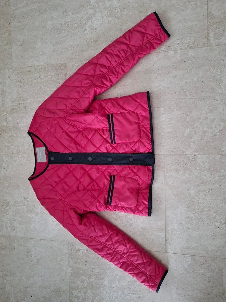 Fuchsia Roze Gewatteerde Jas Maat L - Zo goed als nieuw, Ophalen of Verzenden, Zo goed als nieuw, Roze, Mar Collection Dames