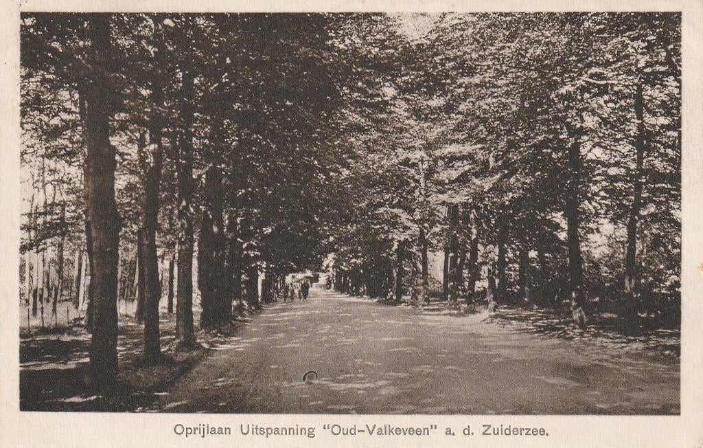 09348 Naarden - Oprijlaan Uitspanning Oud Valkeveen, Verzenden, 1920 tot 1940, Gelopen, Noord-Holland