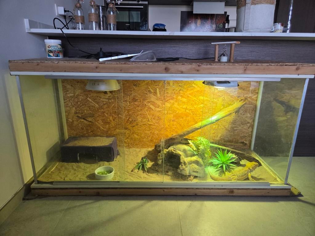 Goed terrarium **GRATIS**  Gereserveerd, Dieren en Toebehoren, Reptielen en Amfibieën, Hagedis