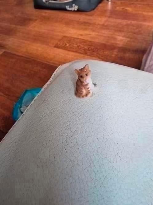 heidi ott miniaturen kitten katje, Ophalen of Verzenden, Nieuw, Poppenhuis