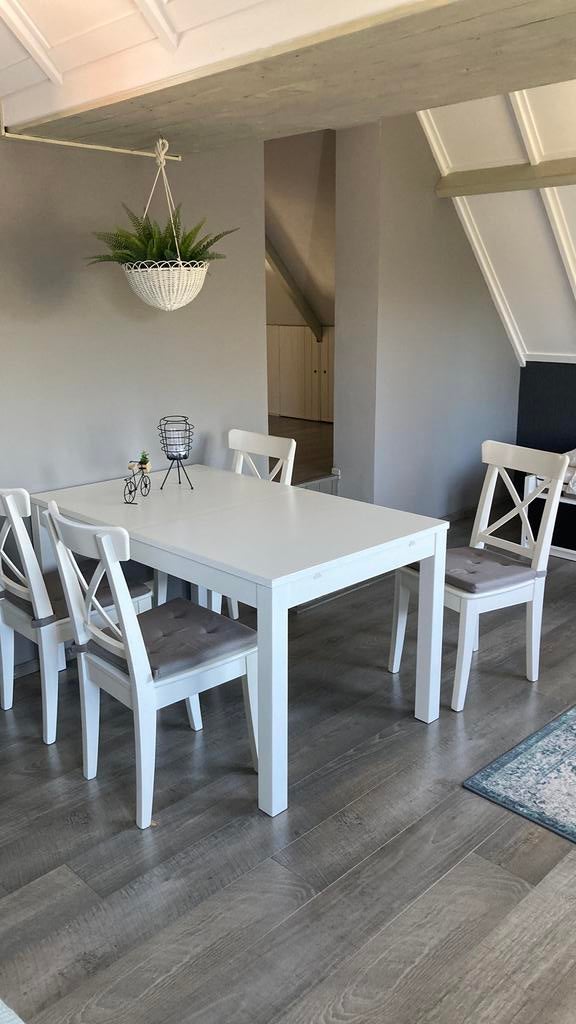 Stevige tafel en stoelen, Ophalen, Zo goed als nieuw, Rechthoekig, 50 tot 100 cm