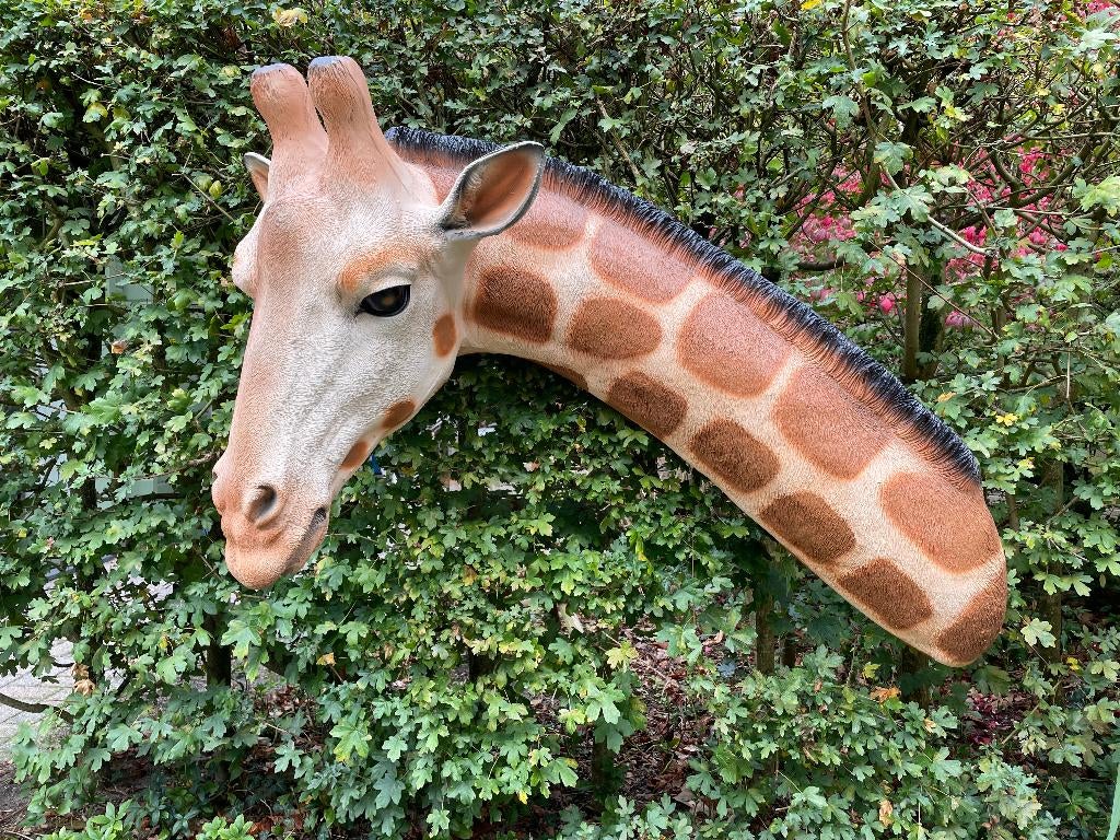 Giraf wand, babykamer, dieren,120 cm, Ophalen, Nieuw, Kunststof, Dierenbeeld