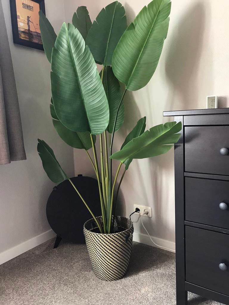 IKEA grote Fejka kunstplant inclusief Ragkorn sierpot, Huis en Inrichting, Woonaccessoires | Kunstplanten en Kunstbloemen, Ophalen