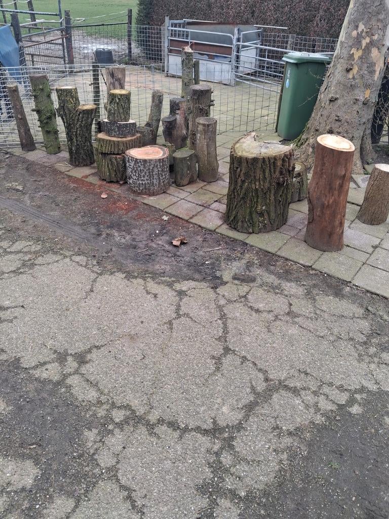 Hakblok ,spijkerblok ,boomstam , sierblok, Tuin en Terras, Ophalen of Verzenden, Nieuw, Minder dan 10 meter, Overige typen