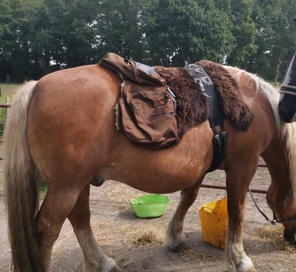 zadeltassen, voor een trektocht. bruin stevig materiaal., Dieren en Toebehoren, Paarden en Pony's | Overige Paardenspullen, Verzenden