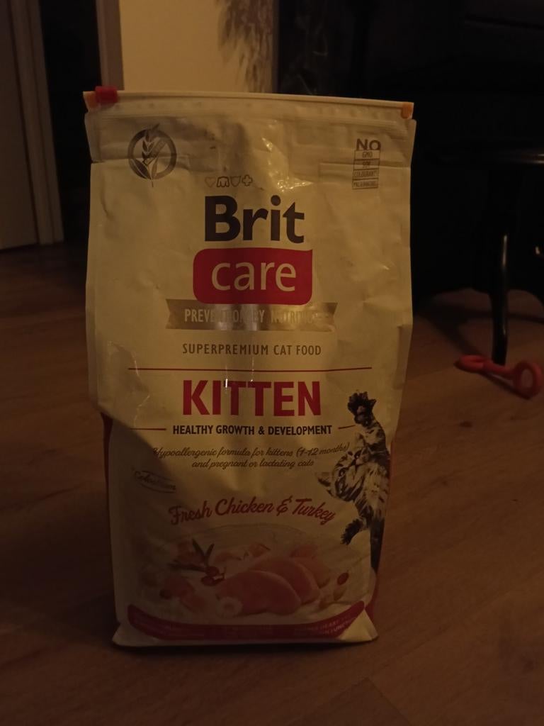Kattenvoer kittens, Ophalen, Kat