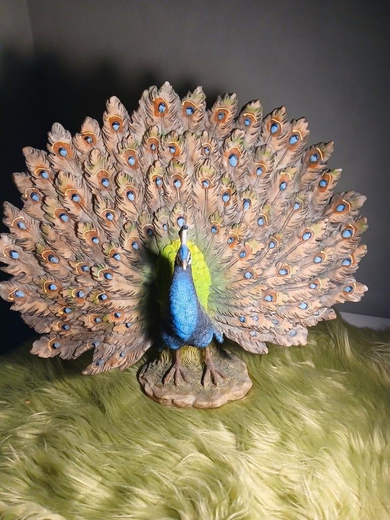 Pauw beeld, Ophalen of Verzenden