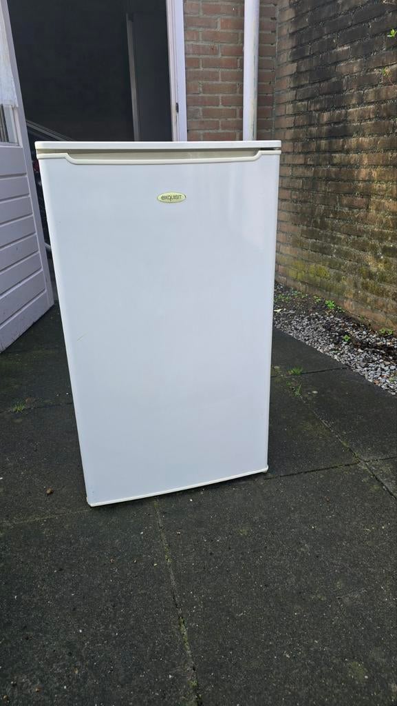 Exquisit koelkast, Witgoed en Apparatuur, Koelkasten en IJskasten, Ophalen, Minder dan 85 cm, Minder dan 75 liter, 45 tot 60 cm