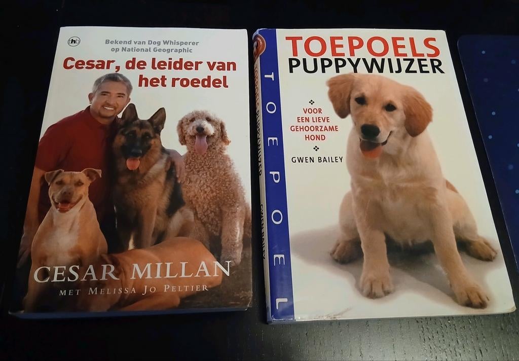 Cesar Millan - Cesar, de leider van het roedel. Toepoels pup, Ophalen of Verzenden, Honden