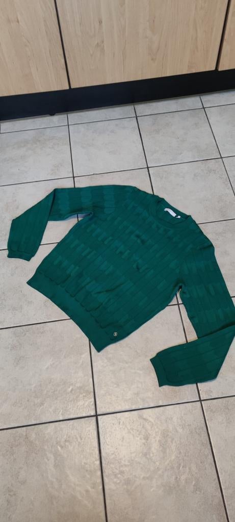 MELTING STOCKHOLM Groen trui maat M, Ophalen of Verzenden, Zo goed als nieuw, Groen