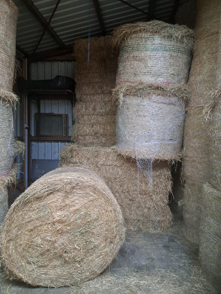 Hooi hooibalen groet en kleine pakjes, Ophalen of Verzenden, Vee