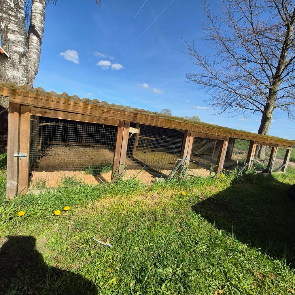 Geimpregneerd hok voor fazanten, kippen enz meer afdelingen, Ophalen, Nnb, Overige typen, Ren