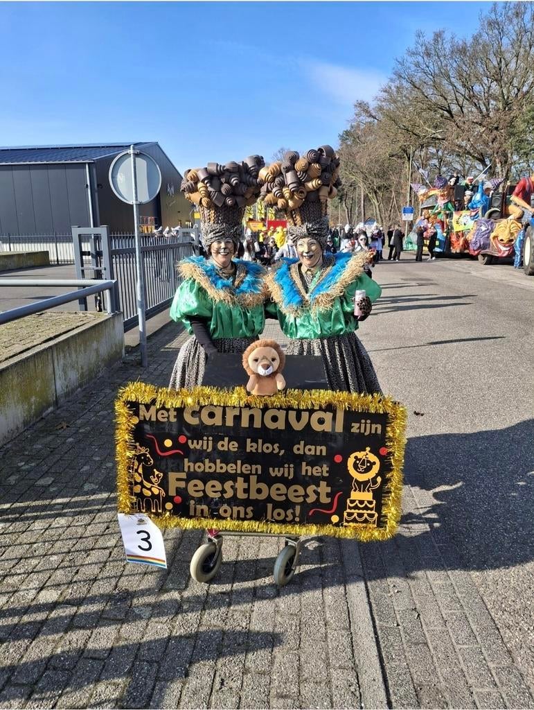 Carnavals duo voor optocht, Kleding | Dames, Carnavalskleding en Feestkleding, Ophalen, Carnaval, Maat 42/44 (L), Zo goed als nieuw