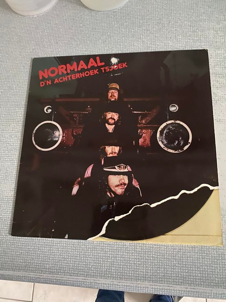 Lp Normaal,hoes lijkt rechtsonder gescheurd maar is dat niet, Ophalen of Verzenden, Zo goed als nieuw, 12 inch