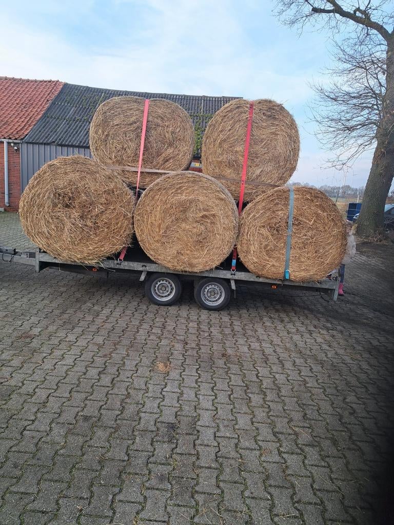 Hooi hooibalen ronde balen, Dieren en Toebehoren, Dierenvoeding, Ophalen of Verzenden, Vee