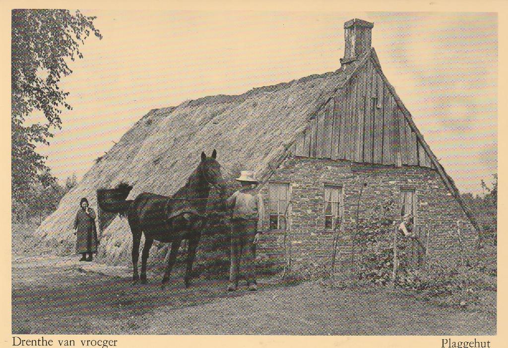 Drenthe van vroeger Plaggehut, Ophalen of Verzenden, 1960 tot 1980, Ongelopen, Drenthe