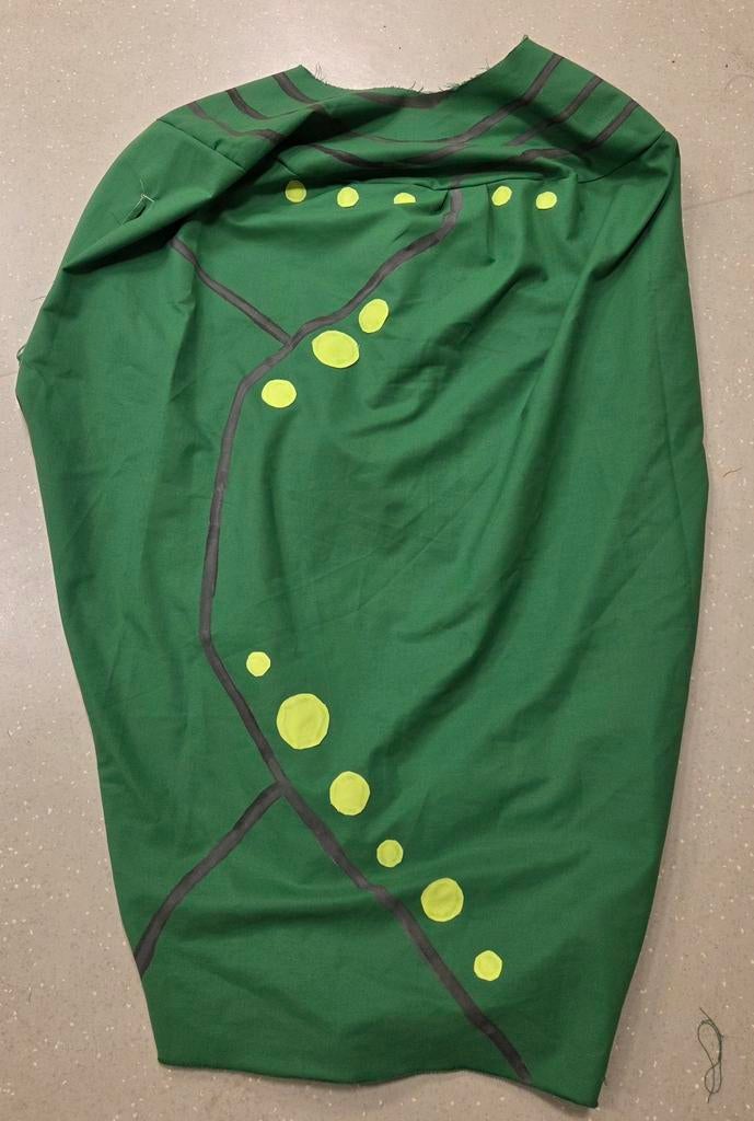 Carnavalspakken cocon, Ophalen, Zo goed als nieuw, Carnaval