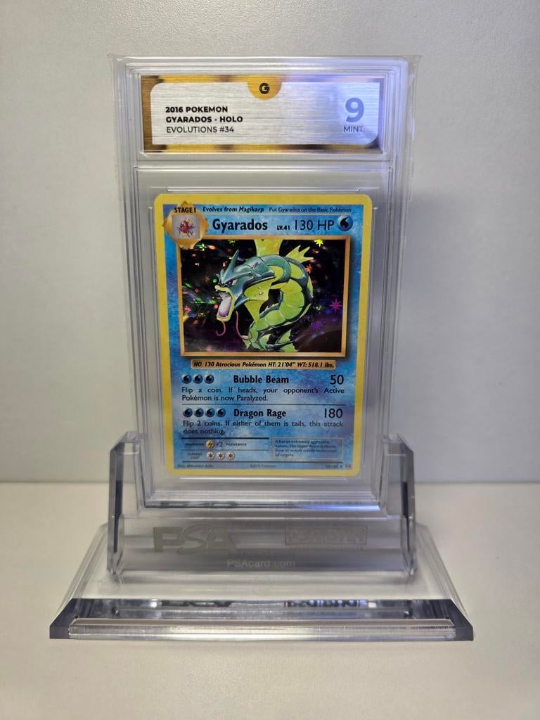 Pokemon Gyarados evolutions holo, Ophalen of Verzenden, Zo goed als nieuw