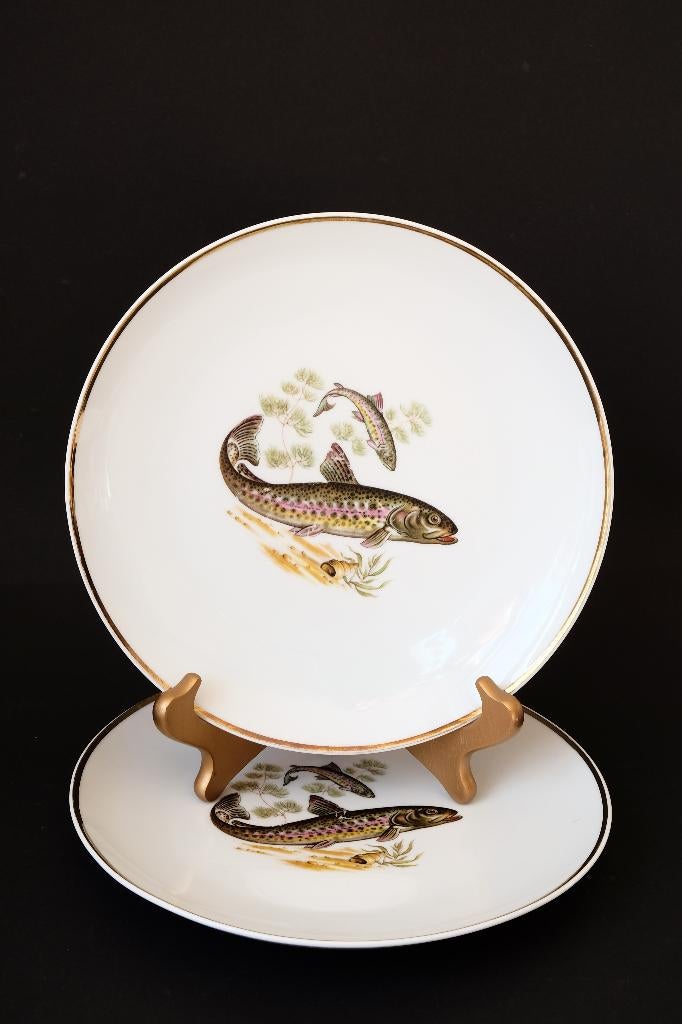 bord vissen 2x   Bavaria Schumann Arzberg  vintage, Ophalen of Verzenden, Zo goed als nieuw, Bord(en), Overige stijlen