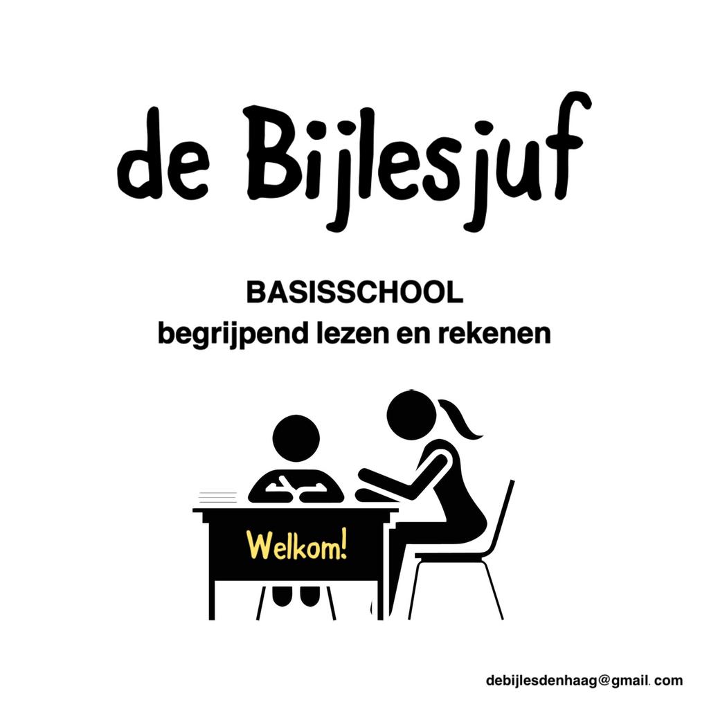 BIJLES cito begrijpend lezen + rekenen lees goed, Diensten en Vakmensen, Bijles, Privé-les en Taalles, Bijles