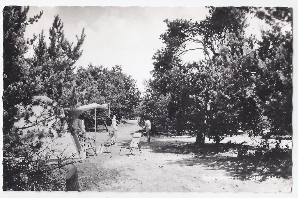 Nieuw Milligen vakantieverblijf oude ansichtkaart ( 7934 ), Ophalen of Verzenden, 1920 tot 1940, Gelopen, Noord-Brabant