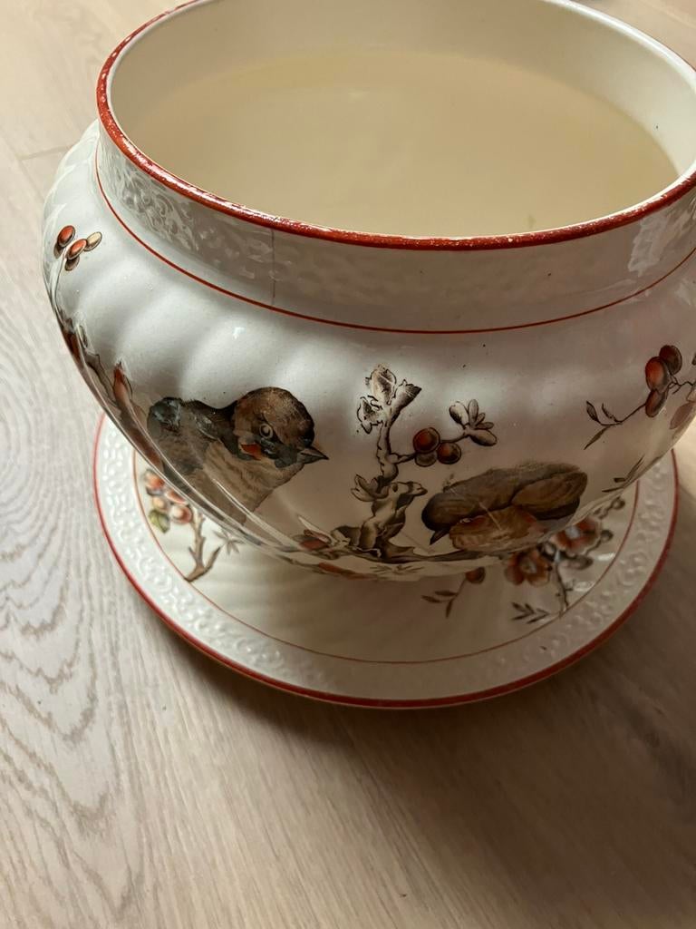 Petrus Regout Zwaluw, Ophalen