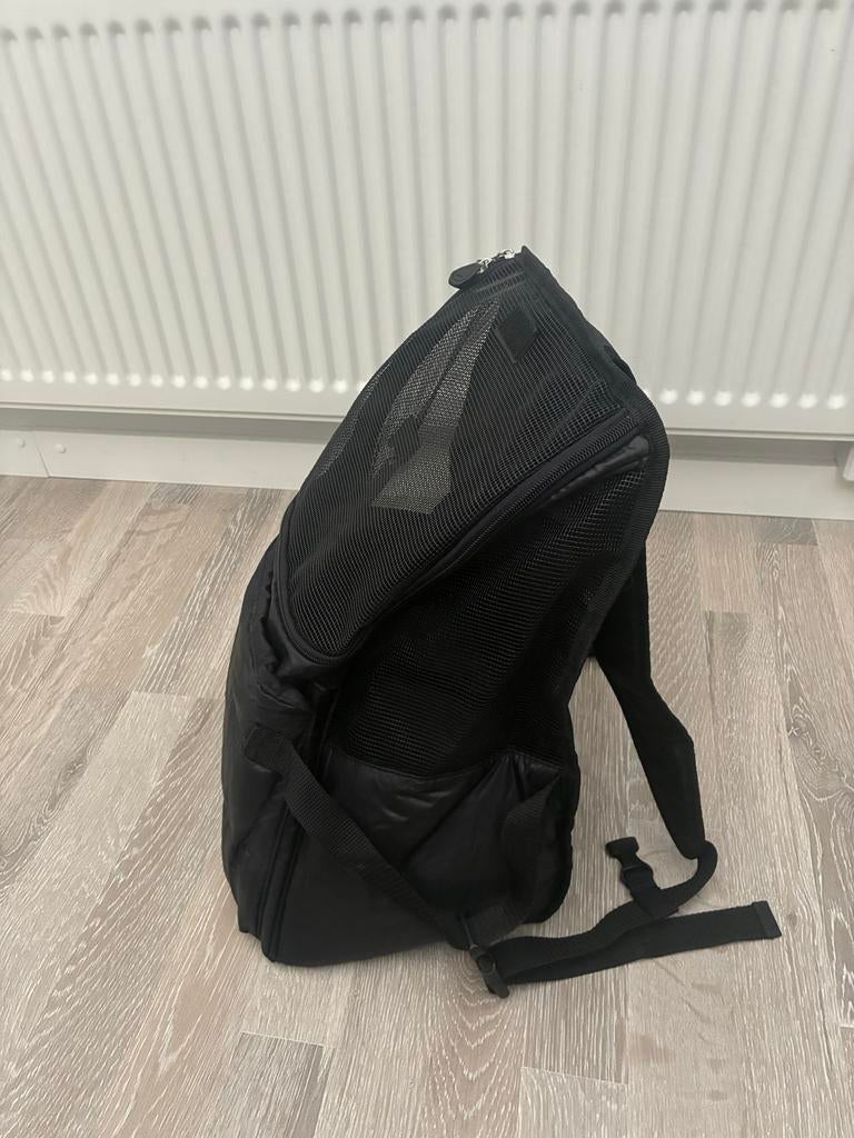 Honden draagtas voor bijvoorbeeld een chihuahua, Ophalen of Verzenden