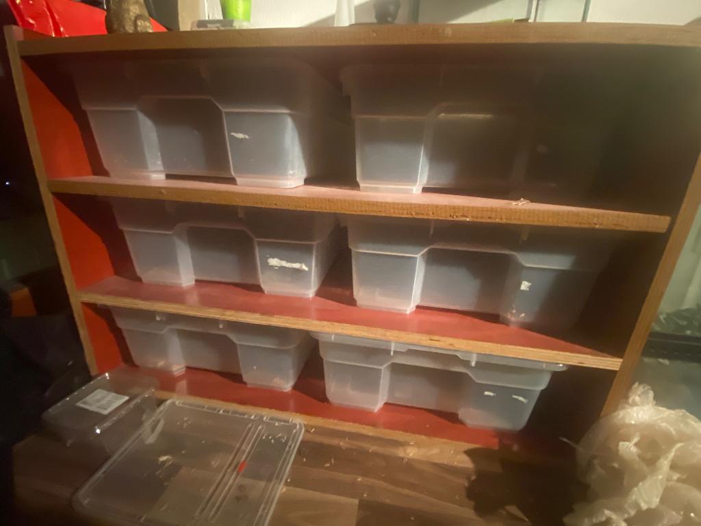 Betonplex Rack, Dieren en Toebehoren, Reptielen en Amfibieën | Toebehoren, Ophalen, Zo goed als nieuw, Terrarium of Paludarium