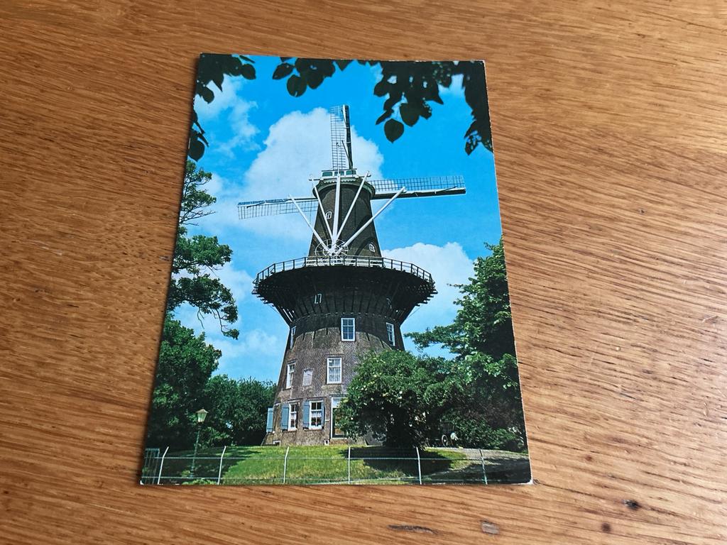877 molen Leiden, Ophalen of Verzenden, Zuid-Holland