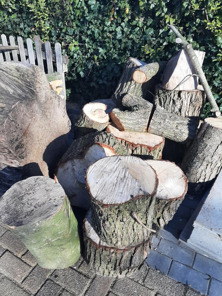 Openhaardhout Wilg - Diverse Blokken en Stammen, Minder dan 3 m³, Ophalen, Overige houtsoorten, Blokken