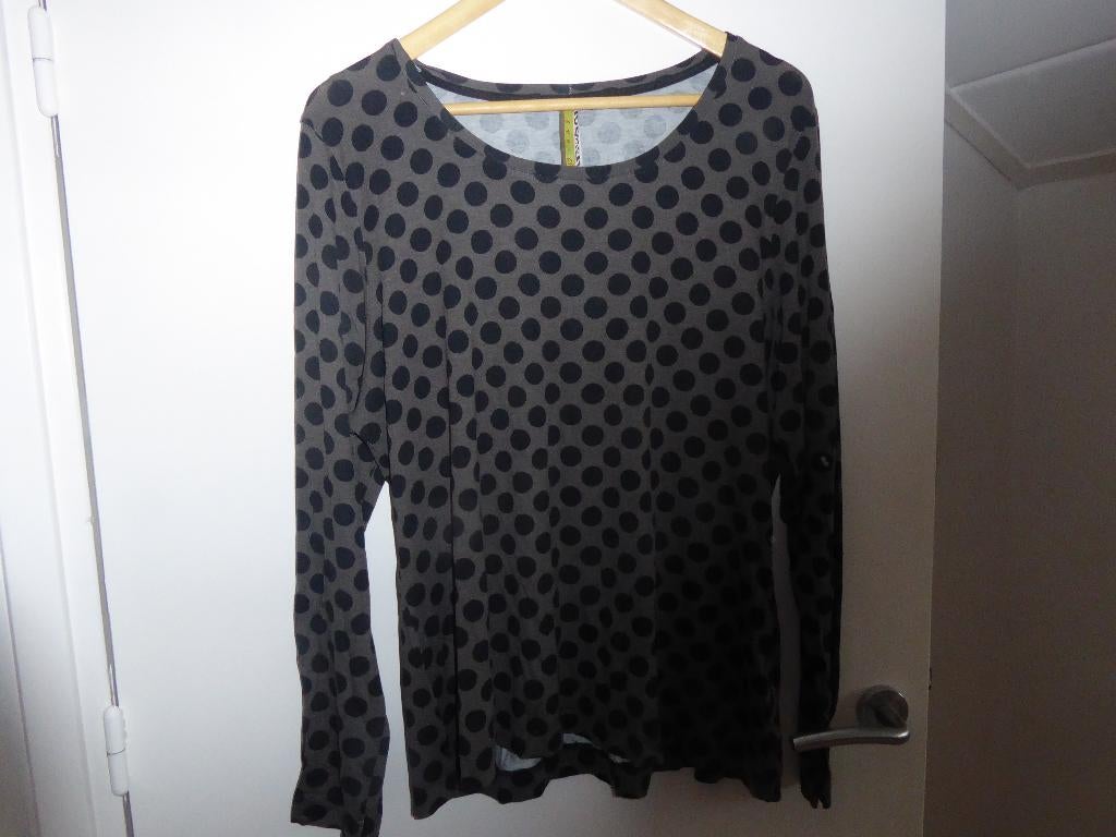 Shirt Eva Claudi, Maat 46/48 (XL) of groter, Ophalen of Verzenden, Zo goed als nieuw, Grijs