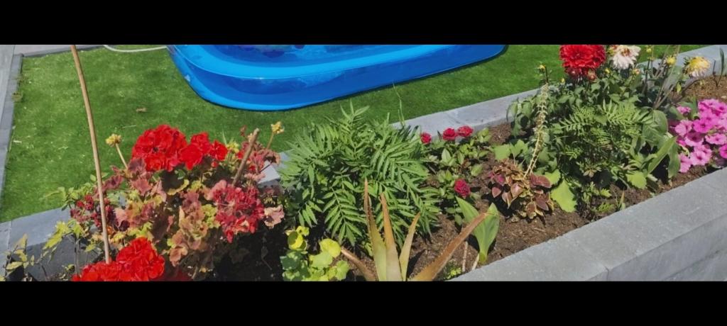 Gardener / Tuinman / Garden Maintenance, Tuinonderhoud of Snoeiwerk