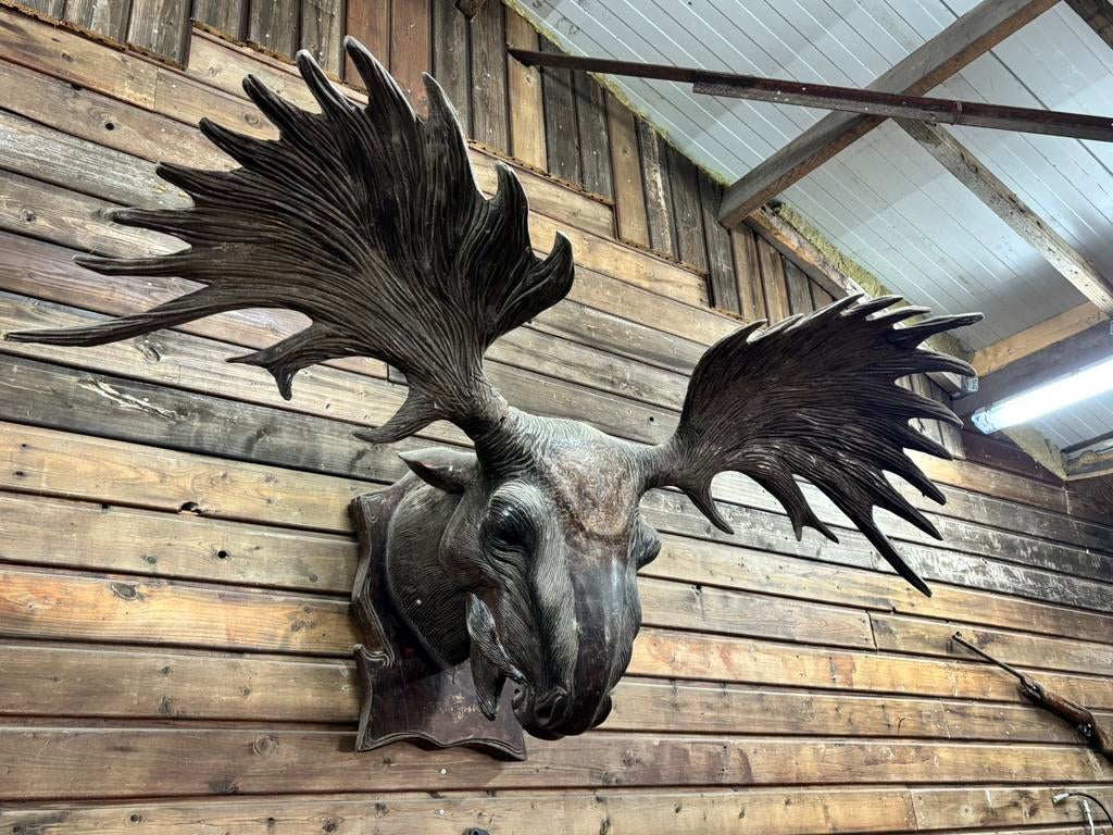 Eland hoofd, Ophalen, Zo goed als nieuw