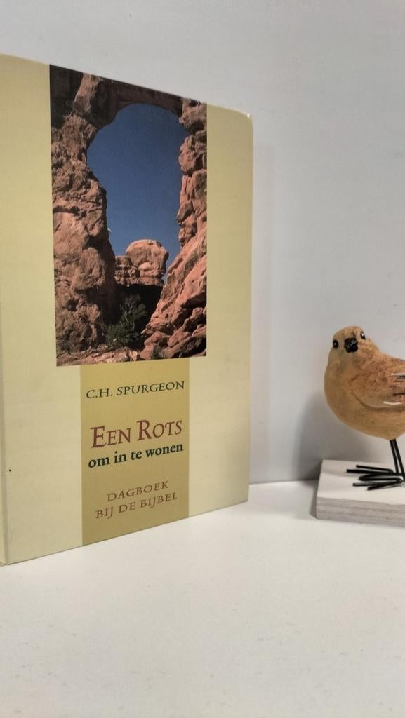 Spurgeon, C.H.; Een Rots om in te wonen : dagboek, Ophalen of Verzenden, Gelezen, Christendom | Protestants