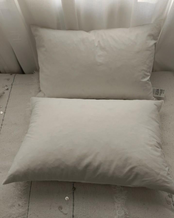 Nieuwe H&M binnenkussens 40x60 – veren vulling & katoen –set, Ophalen of Verzenden, Nieuw, Wit, Vierkant