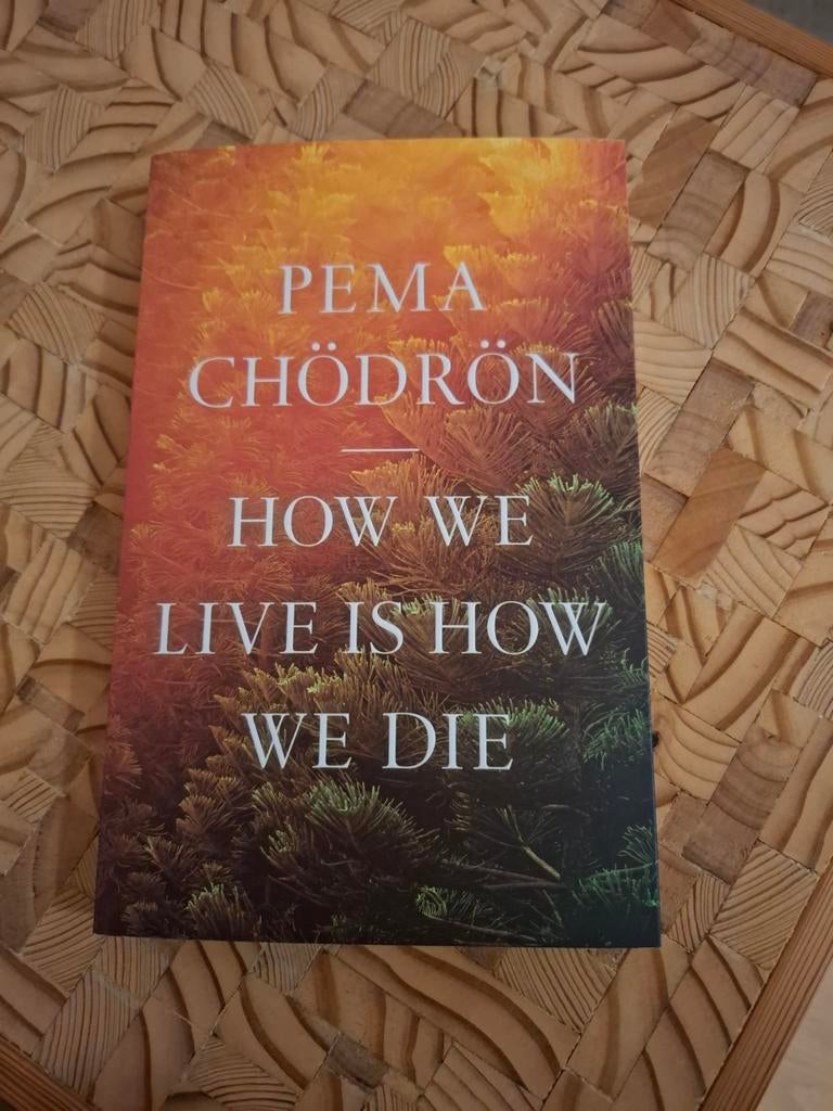 Pema chödrön how we live is how we die, Boeken, Esoterie en Spiritualiteit, Ophalen of Verzenden, Zo goed als nieuw, Spiritualiteit algemeen