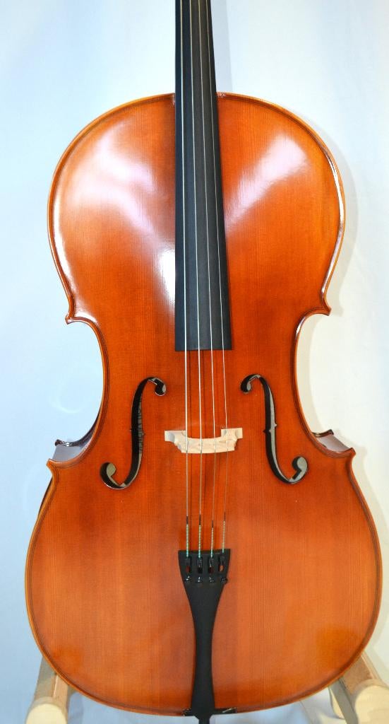 Nieuwe 4/4 cello tekoop en tehuur gratis verzending, Muziek en Instrumenten, Strijkinstrumenten | Cello's, Ophalen, Nieuw, 4/4-cello