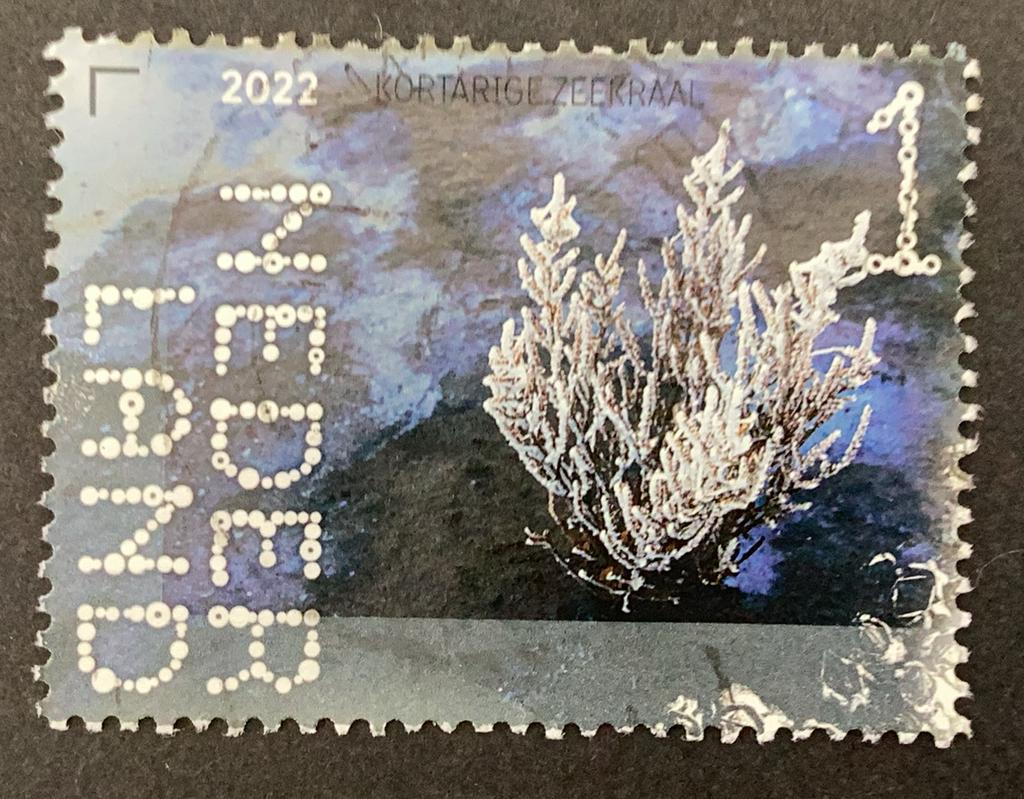 Beleef de natuur 2022 Kortharigezeekraal, Postzegels en Munten, Ophalen of Verzenden, Na 1940, Gestempeld