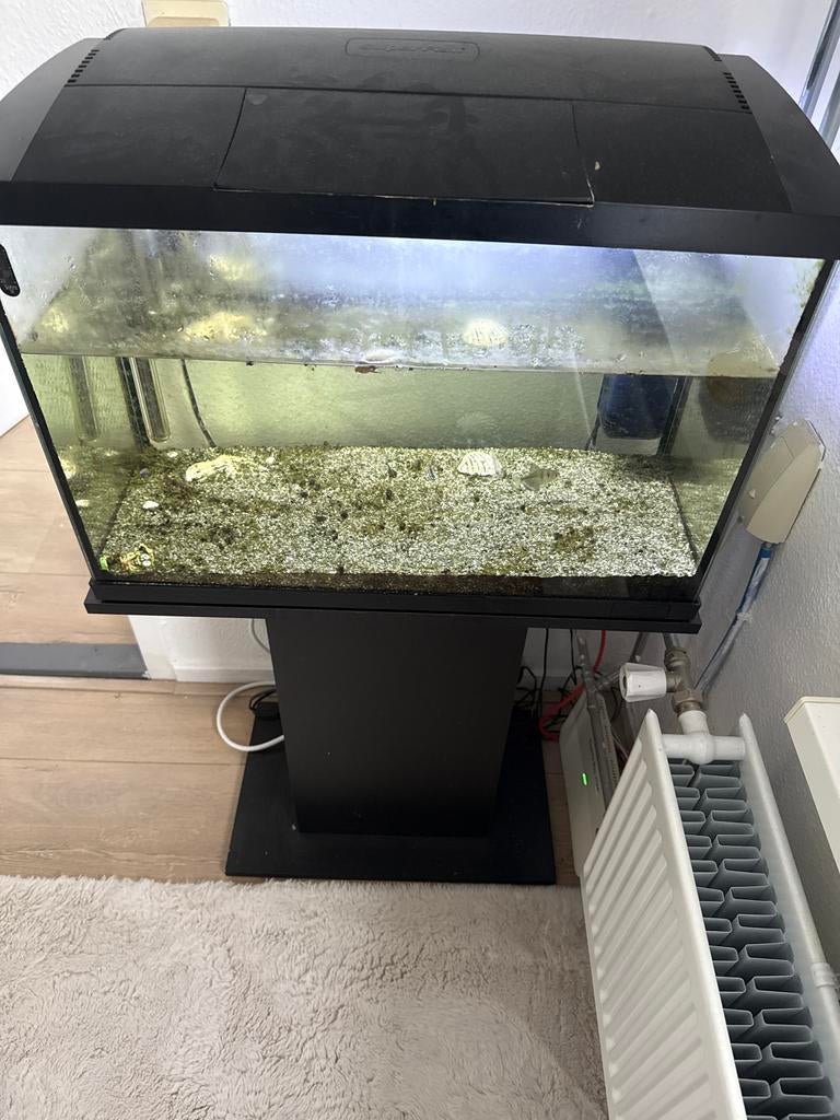 Aquarium, Ophalen of Verzenden, Gebruikt, Gevuld zeewateraquarium