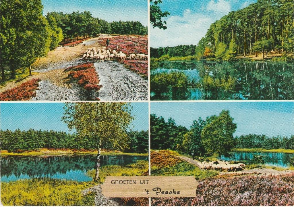 BEEK (Didam) 't Peeske Groeten, Verzamelen, Ansichtkaarten | Nederland, Gelopen, Gelderland, 1960 tot 1980, Verzenden
