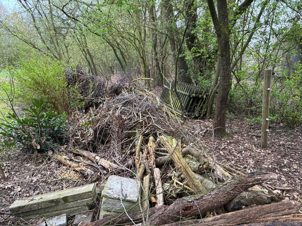 Snoeihout 10 m3 gratis afhalen, Tuin en Terras, Haardhout, 6 m³ of meer, Ophalen, Overige houtsoorten, Takken