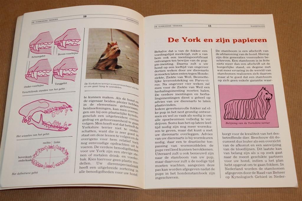 VNK Rassengids — Yorkshire Terrier [1982], Boeken, Ophalen of Verzenden, Gelezen