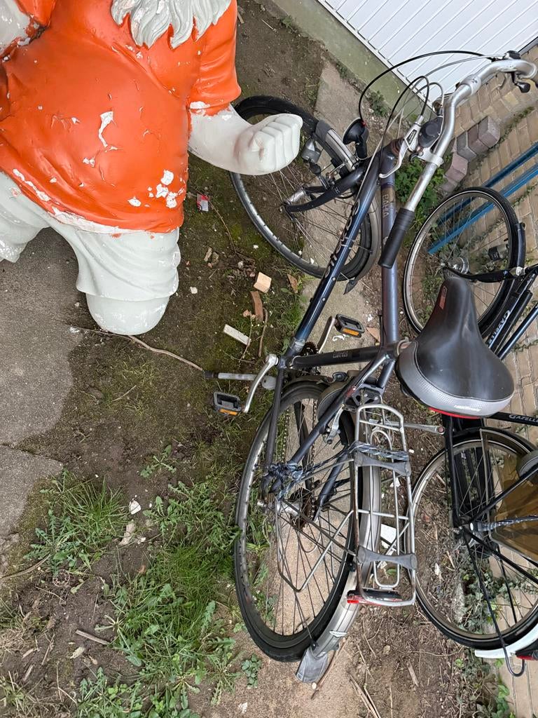 Gazelle stationsfiets, Versnellingen, Ophalen of Verzenden, Gazelle, 53 tot 56 cm