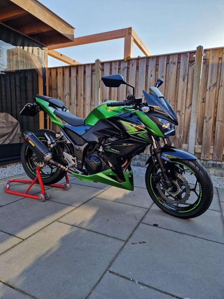 Kawasaki z300 ABS performance Edition (A2 rijbewijs)