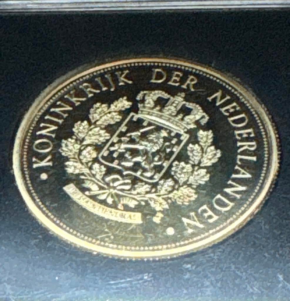 Vergulde munt Koning Willem-Alexander & Koningin Máxima 2018, Koningin Beatrix, Losse munt, Goud, Overige waardes