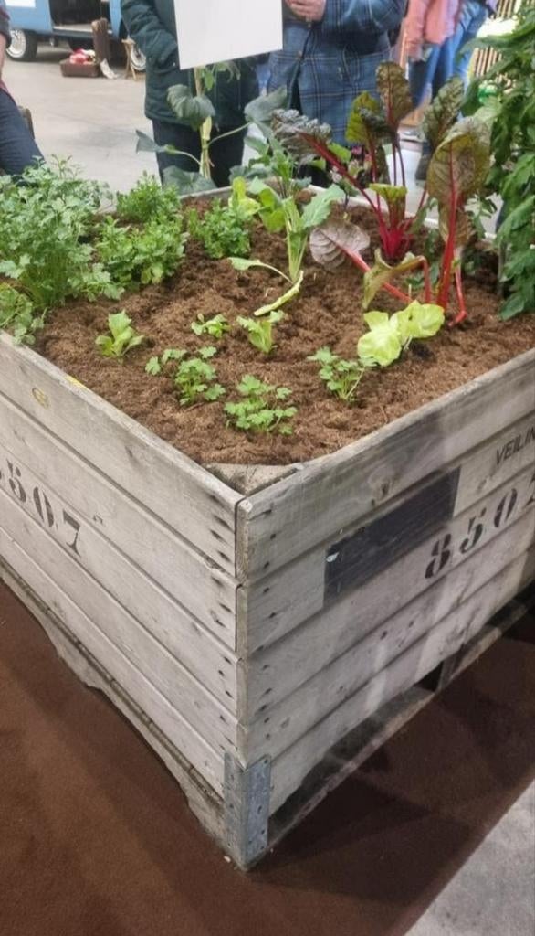 Houten moestuinbakken of kruidentuinbakken, Tuin en Terras, Bloembakken en Plantenbakken, Ophalen of Verzenden, Hout, Balkon, Minder dan 30 cm