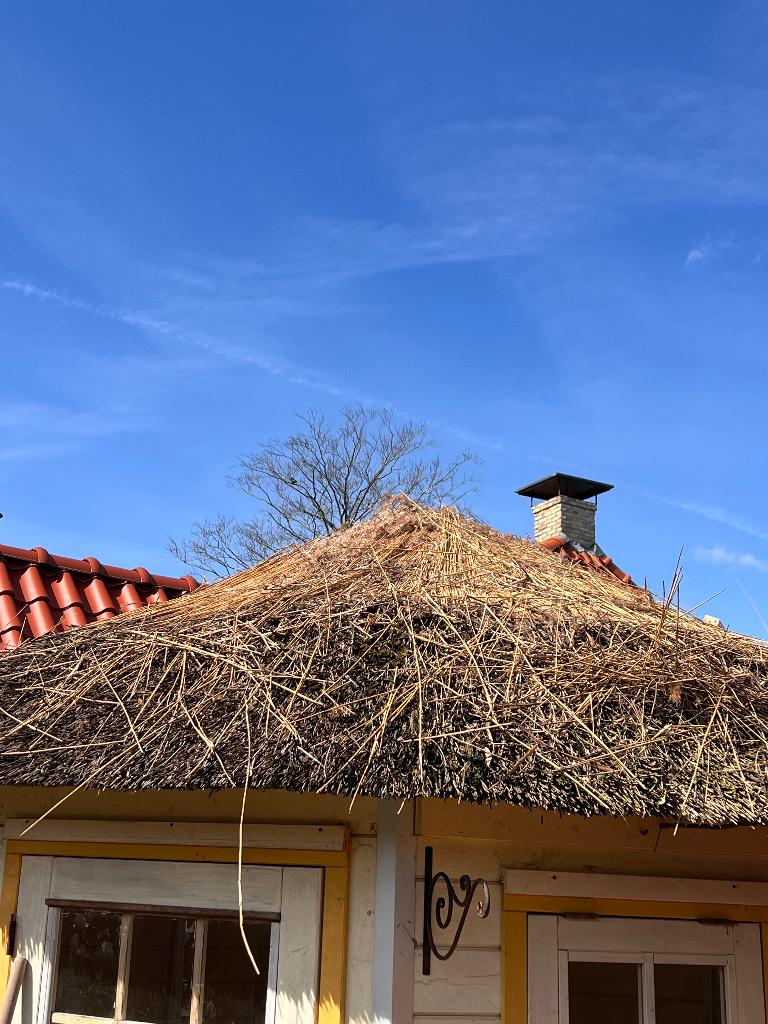 Gratis riet dak schuur hok moestuin huis rietdekker rietdak, Tuin en Terras, Tuinhuizen, Ophalen, Schuur, Zonder ramen