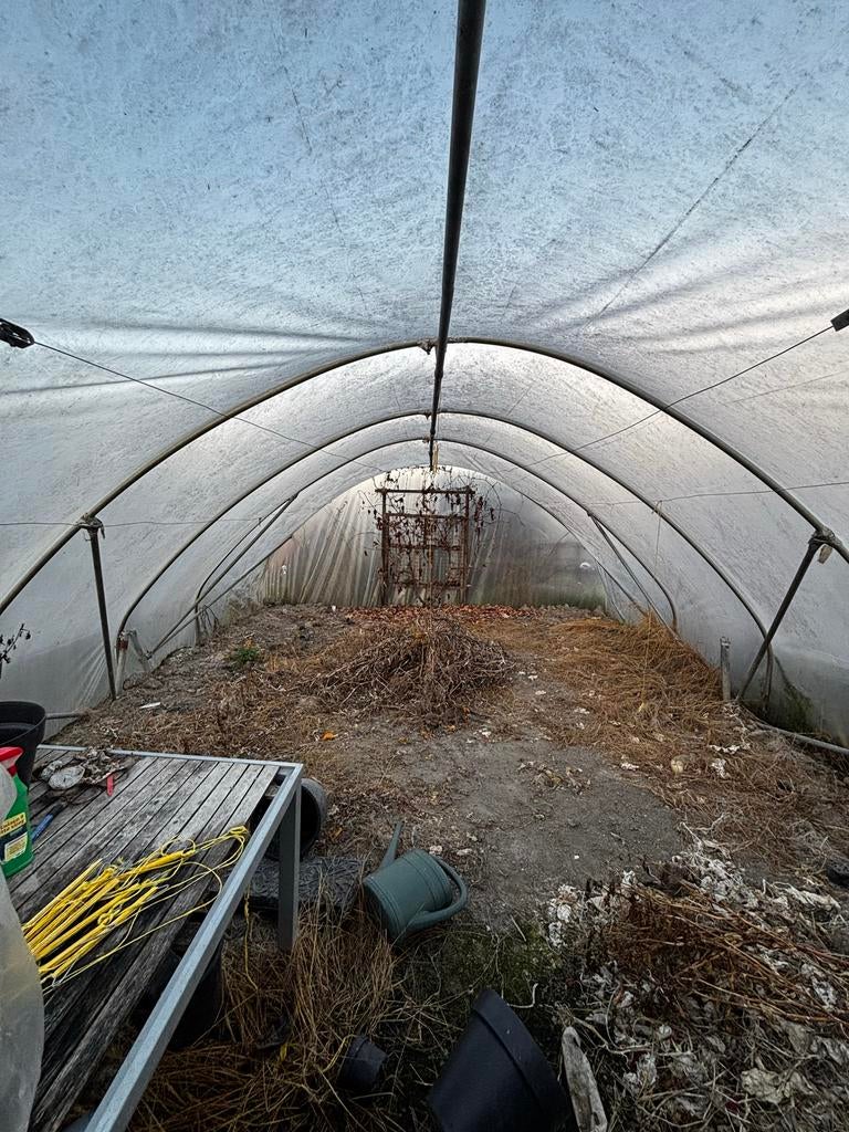 Tunnelkas 4x7m, Gebruikt, Folie, Kweekkas, Ophalen