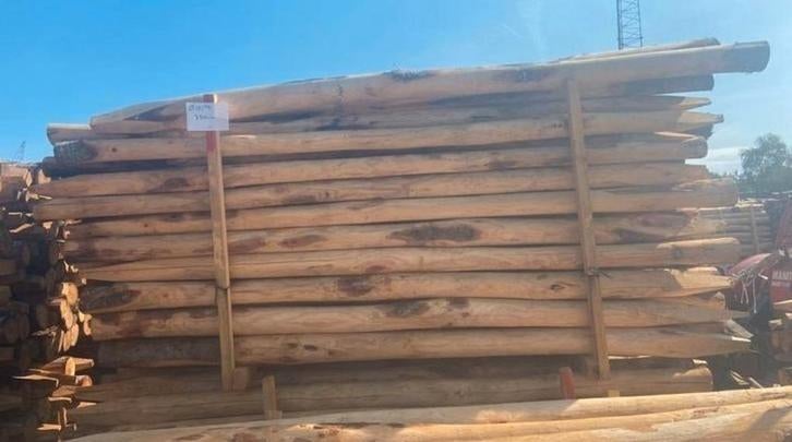 Kastanje palen rondhout geschild - afrastering, Ophalen of Verzenden, Nieuw, Minder dan 180 cm, Palen